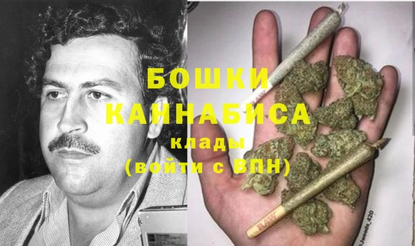 мдпв Володарск