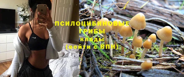 ПСИЛОЦИБИНОВЫЕ ГРИБЫ Саяногорск